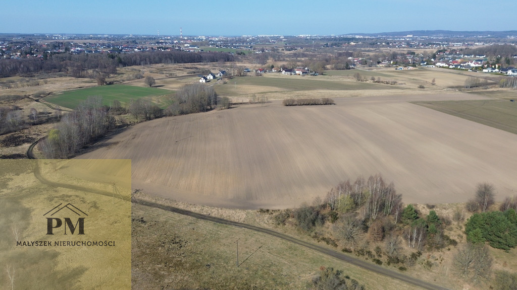 Koszalin, ul. Krokusów