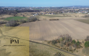 Koszalin, ul. Krokusów